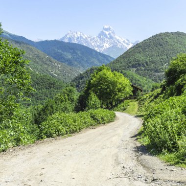 Dağlık bir çakıl yolu ormana çıkıyor. Ushba Dağı 'nın karlı zirvesi görülebilir.