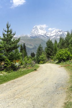 Dağlık bir çakıl yolu ormana çıkıyor. Ushba Dağı 'nın karlı zirvesi görülebilir.