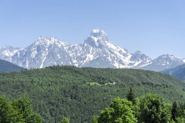 Ağaçlar ve çalılarla kaplı dağlar. Ushba Dağı 'nın karlı zirvesi