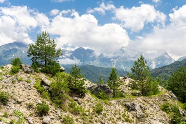 Kozalaklı ağaçlar ve çalılar. Büyük taşlar ve kayalar. Karlı dağ sıraları, arkasında bulutlar olan mavi gökyüzü..