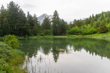 Kozalaklı ağaçların arasında küçük bir göl. Yansımalı pürüzsüz su. Arkaplanda karla kaplı dağlar