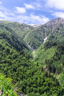 Dağlar arasındaki vadiden bir dağ nehri taşar. Tepeler orman ve çalılarla kaplı..