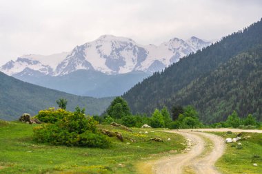 Dağlar arasındaki bir tarladan geçen toprak bir yol vadiye çıkar. Orman ve çalılar. Arka planda karla kaplı dağlar