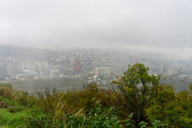 Tiflis 'te sisli bir sabah. Evler ve binalar sislerin içinde kayboluyor. Ön planda ağaçlar ve çalılar