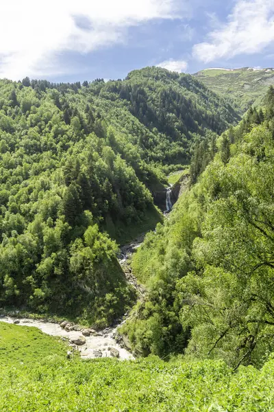 Dağlar arasındaki vadiden bir dağ nehri taşar. Tepeler orman ve çalılarla kaplı..