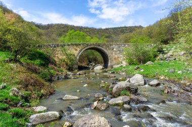 Medieval stone bridge over the river leading to the medieval town of Samshvilde clipart