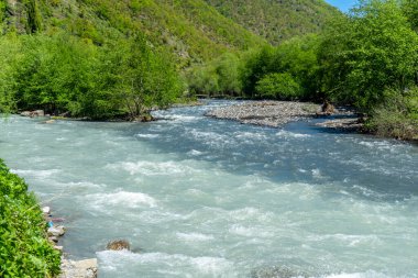 Aydınlığın (beyaz) ve koyu (siyah) Aragvi nehirlerinin dağların arasındaki ovalarda kesişmesi. Suların berrak sınırı görünür. Etrafta çalılar ve ağaçlar