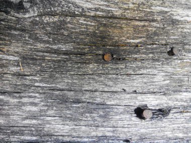 Çatlaklar ve düğümlerle eski solmuş ahşap tahta. Birkaç paslı çivi başı görülebiliyor.