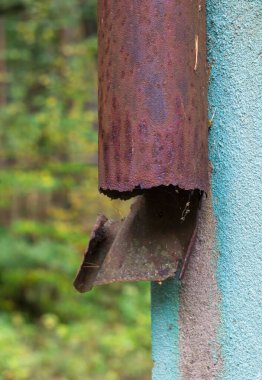 Cyan renkli beton duvarda kırık bir ucu olan paslı bir drenaj borusu. Arkaplanda yeşil yapraklar