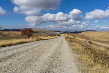 Topraktan bir yol bir tepeye çıkar. Yolun kenarlarında kuru ağaçlar var. Kuru turuncu çimenler. Bulutlu parlak mavi gökyüzü. Gürcistan 'ın çöl bölgesi.