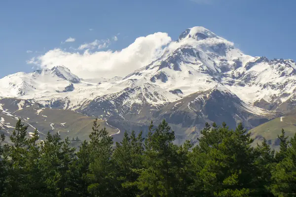 stock image Snow capped mountain Mkinvartsveri Kazbek. Blue sky with clouds. Coniferous trees in the foreground