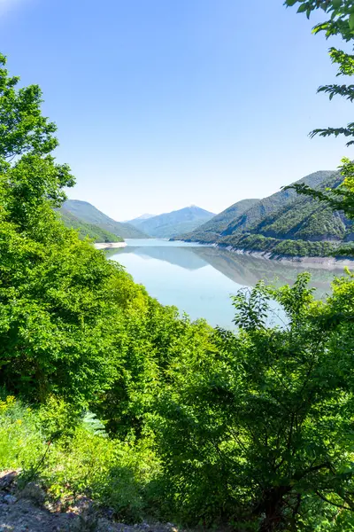 Aragvi Nehri 'ndeki Zhinvali su deposu ağaçların yaprakları arasında. Yeşil çimenler, mavi gökyüzü, arka planda dağlar.