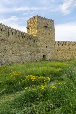 Chailuri kalesinin avlusunda. Boşlukları olan yüksek taş duvarlar, savunma kulesi, yeşil çimenler ve sarı çiçekler..