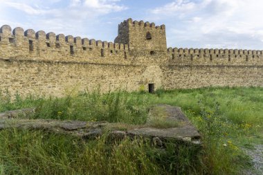 Chailuri kalesinin avlusunda. Boşlukları olan yüksek taş duvarlar, savunma kulesi, yeşil çimenler ve sarı çiçekler..