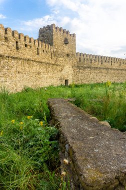 Chailuri kalesinin avlusunda. Boşlukları olan yüksek taş duvarlar, savunma kulesi, yeşil çimenler ve sarı çiçekler..