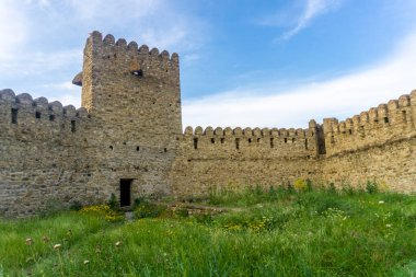 Chailuri kalesinin avlusunda. Boşlukları olan yüksek taş duvarlar, savunma kulesi, yeşil çimenler ve sarı çiçekler..