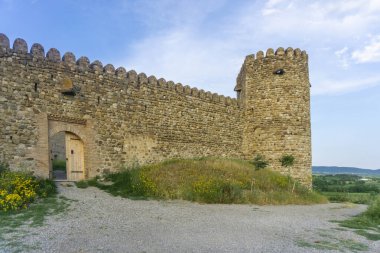 Ön duvar, kule ve Chailuri Kalesi 'nin ahşap kapısı. Çakıl yolu, sarı çiçekler, bulutlu mavi gökyüzü.