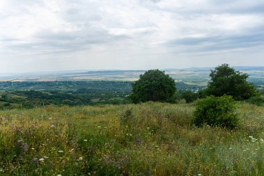 Yağmurdan önce bulutlu bir günde gökyüzü ve dağlar. Renkli çiçeklerle dolu bir tarla. Ağaçlar ve