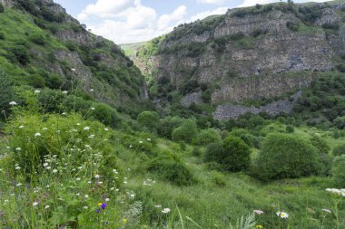 Kayaların arasındaki vadide beyaz çiçekler ve yeşil çimenler. Tsalka Kanyonu, Georgia