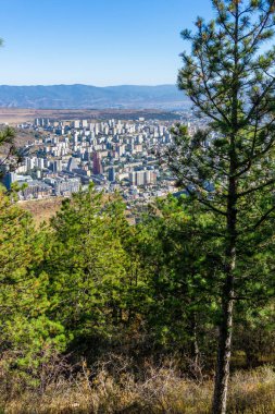 Tiflis 'in modern batı yakası ağaç dalları aracılığıyla. Yüksek binalar. Arka planda dağlar ve parlak gökyüzü