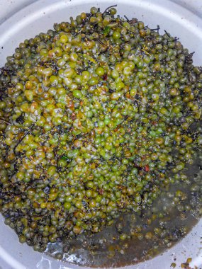 Ezilmiş üzümlerin fıçıda mayalanma süreci. Üzüm tohumu ve meyve suyu görülebilir. Üst görünüm