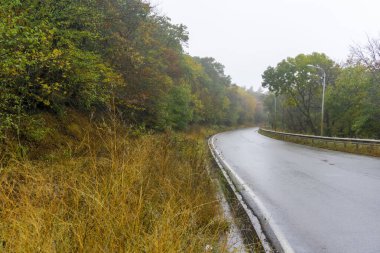 Yağmurdan sırılsıklam olmuş bir dağ yolu dağ ve vadi arasından geçer. Etrafta sonbahar ağaçları ve çalılar var.