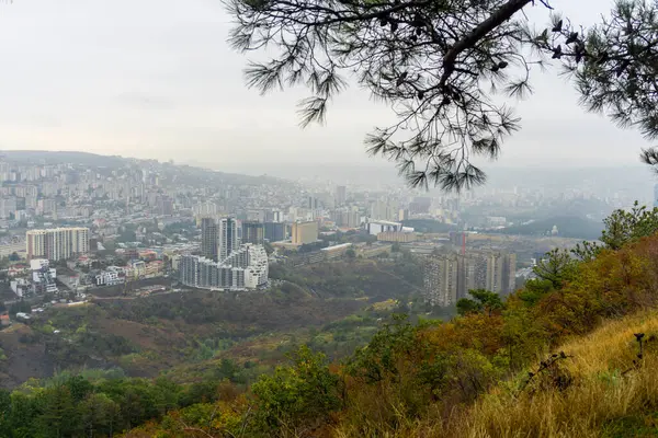 Modern evleri olan Tiflis 'in batısında. Şehrin üzerinde sis ve sis var. Sonbahar ağaçları ve çalılar