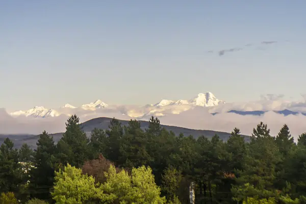 stock image The morning sun illuminates the snow capped peaks of the mountain range and Mount Mkinvartsveri Kazbek. Clouds under the mountains. Forest in the foreground