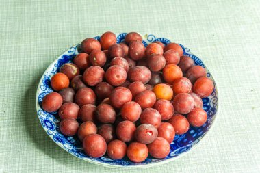 Heap of red tkemali fruits on plate with blue pattern on light table. Prunus cerasifera, cherry plum, myrobalan plum clipart