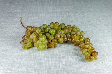 Bir demet taze Rkatsiteli üzümü Işık masasında