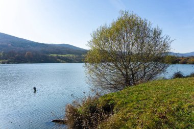 Dalgalanan göl yüzeyi. Ağaçlarla kaplı dik kıyılar. Sonbahar renkleri. Arka planda tepeler ve gökyüzü