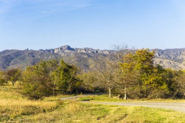 Toprak yolu, çimenler ve sonbahar yapraklı ağaçlar. Birtvisi kalesinin harabeleri, parlak gökyüzü arka planda.