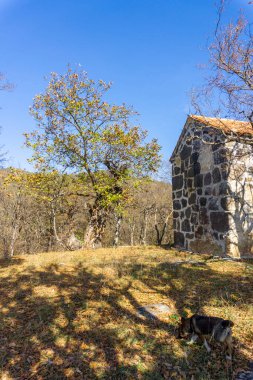 Tepedeki sonbahar ağaçlarının arasındaki taş bazilika. Sonbahar renkleri. Bulutlu mavi gökyüzü