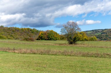 Ormanın kenarındaki yeşil bir alan güneş ışığıyla aydınlatılır. Çalı şeritleri. Açık mavi gökyüzü. Sonbahar renkleri.