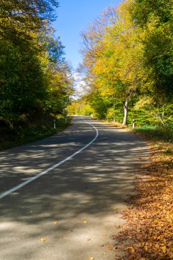 Kenarları boyunca direkleri olan bir asfalt yol ve sonbahar yapraklarıyla ağaçların ve çalıların arasından geçen beyaz bir bölme çizgisi. Tepeler ve bulutlar arka planda.