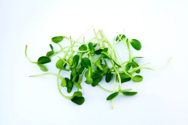 Taze yeşil roka yaprakları beyaz arkaplanda