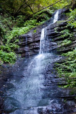 Orman şelalesinin dikey görüntüsü, kayalar yosun kaplı orman atmosferi.
