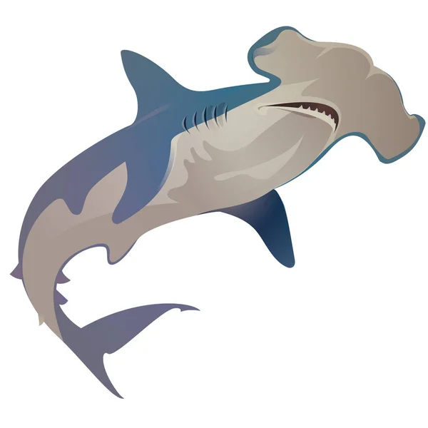 Smooth Hammerhead Hammerhead Shark Vector — Stock Vector