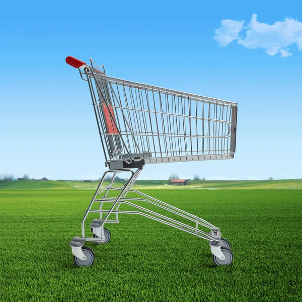 Empty Supermarket Shopping Cart Grass Freshness Sustainability Concept Copy Space — Stock Photo, Image