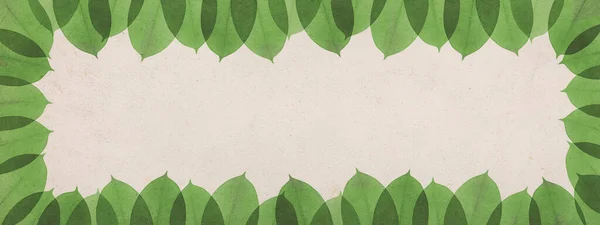 Leaves Arranged Frame Shape Copy Space Nature Botanics Banner — Stockfoto