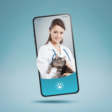 Çevrimiçi veteriner hizmeti ve hayvan bakımı uygulaması: akıllı telefon ekranında gülümseyen kadın veteriner, bir kedi tutuyor, çevrimiçi doktor konsepti.