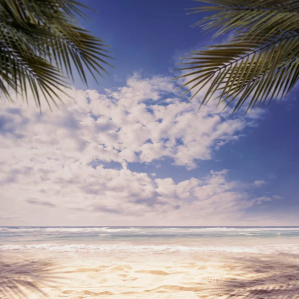 Sunny tropical beach background with palm trees, sand and ocean waves