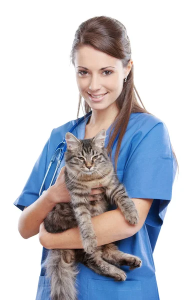 Retrato Una Veterinaria Sonriente Sosteniendo Felino —  Fotos de Stock