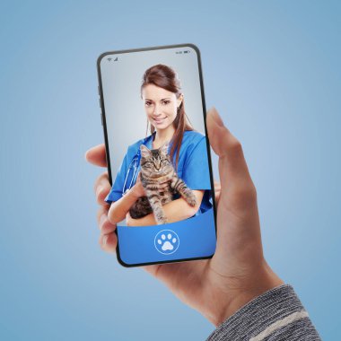 Çevrimiçi veteriner hizmeti ve hayvan bakımı uygulaması: akıllı telefon ekranında gülümseyen kadın veteriner, bir kedi tutuyor, çevrimiçi doktor konsepti.