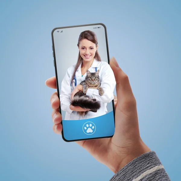 온라인 수의사 서비스 스마트폰 화면에 수의사 미소짓기 그녀는 고양이 온라인 — 스톡 사진