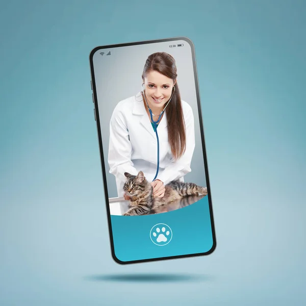 Онлайн Сервіс Ветеринарної Медицини Догляд Тваринами Усміхнена Жінка Ветеринар Екрані — стокове фото