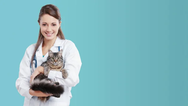 Ветеринарна Медична Служба Усміхнена Жінка Ветеринар Тримає Милий Кіт Банер — стокове фото