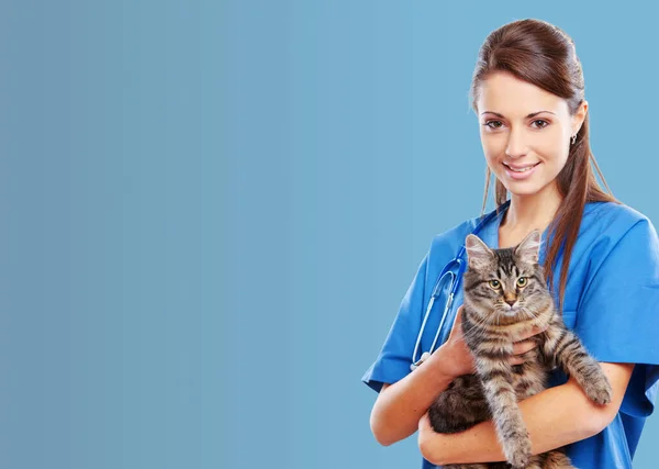 Veterinário Serviço Médico Sorrindo Veterinário Feminino Segurando Gato Bonito Banner — Fotografia de Stock