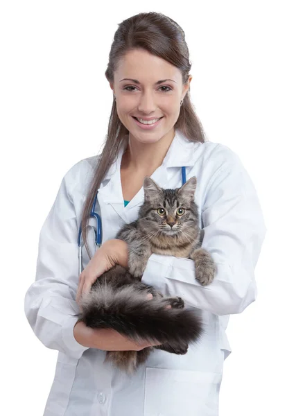 面带笑容的女兽医 抱着猫的肖像 — 图库照片