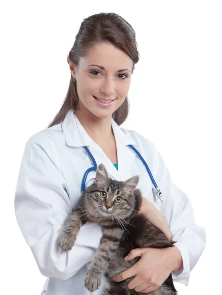 Retrato Una Veterinaria Sonriente Sosteniendo Felino — Foto de Stock
